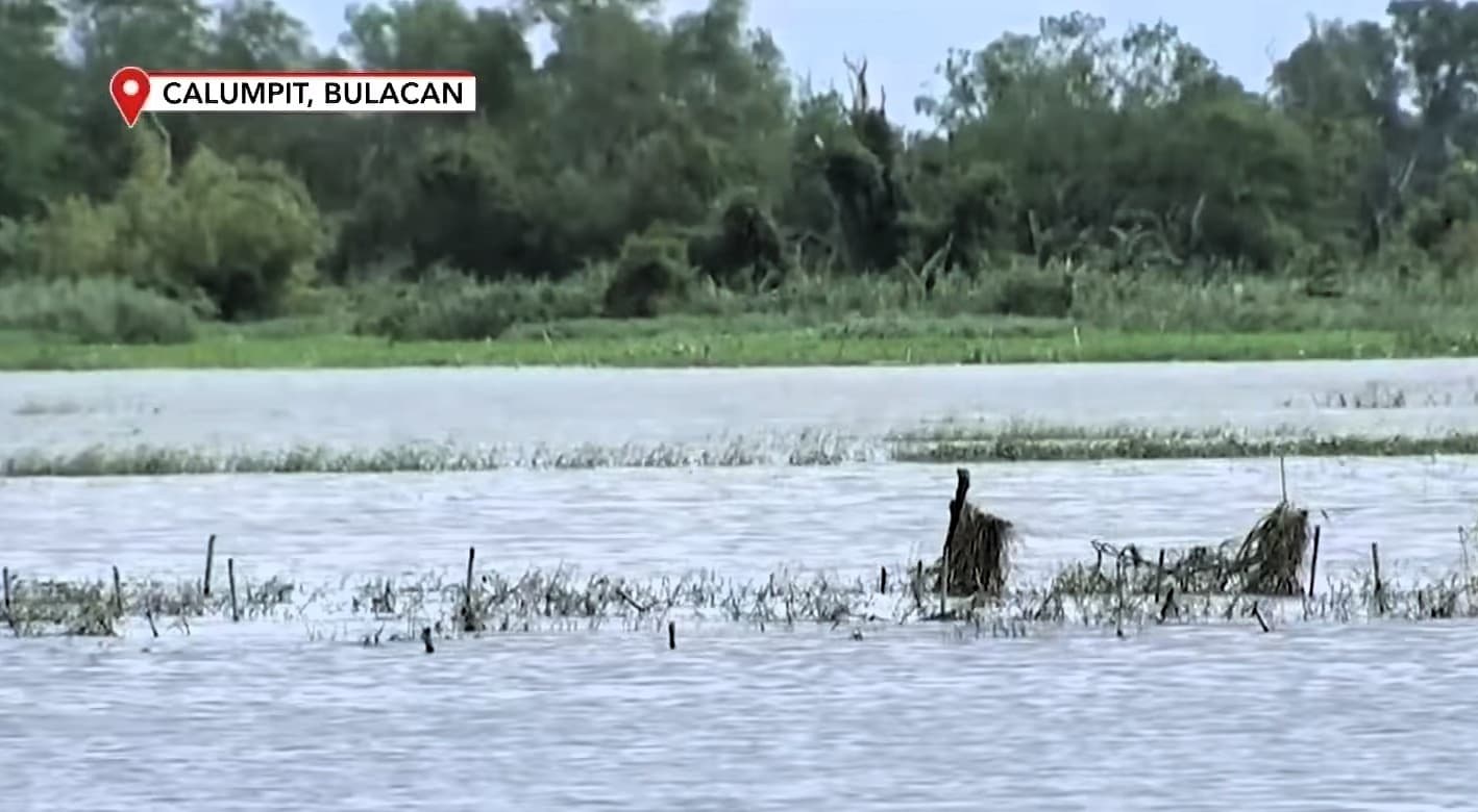 Agricultural Damage and Losses from Habagat and Four Cyclones Reach P4.38 Billion