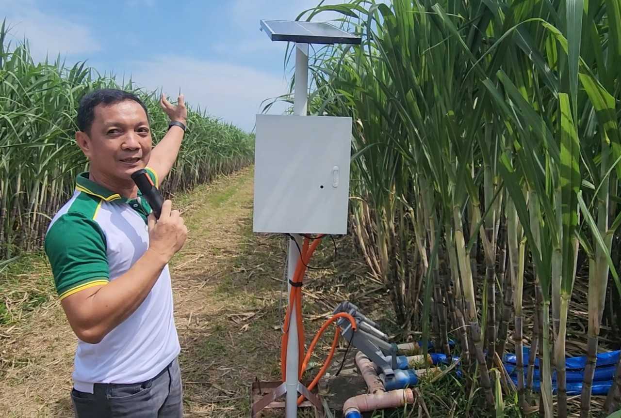 DOST Technologies Help Tarlac Sugarcane Farmers Double Yields Amid Looming El Niño