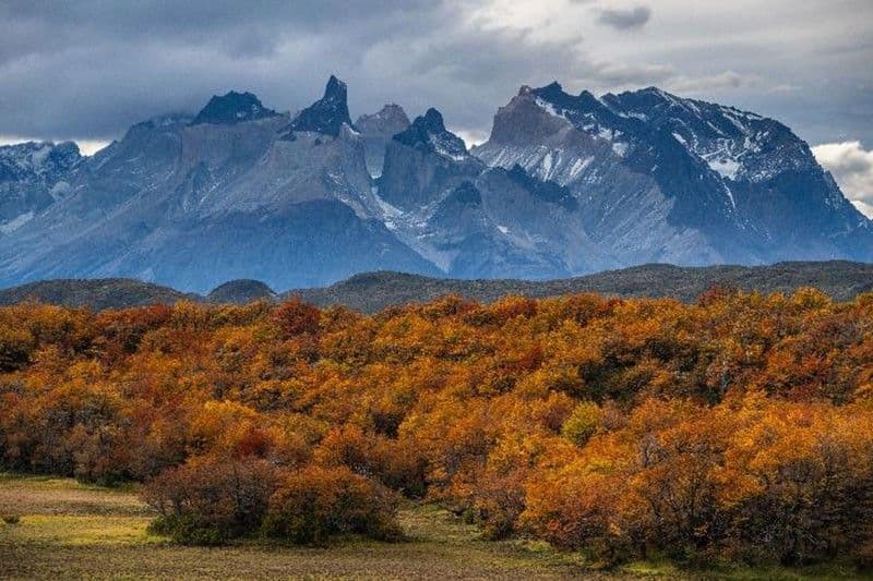 andBeyond Launches Exclusive Autumn Photography Expedition in Chilean Patagonia