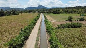 Agricultural Output Estimated to Have Declined in Q2 Amid El Niño and Rising Input Costs